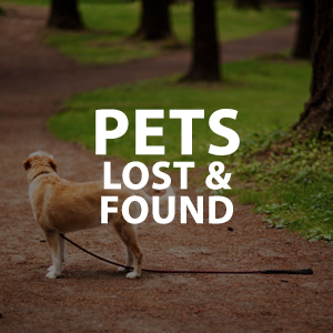 Image that reads "Pets Lost and Found"
