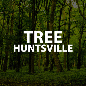 Image that reads "Tree Huntsville"