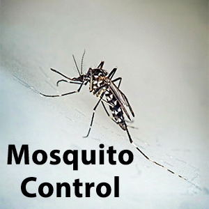 Mosquito Control Image