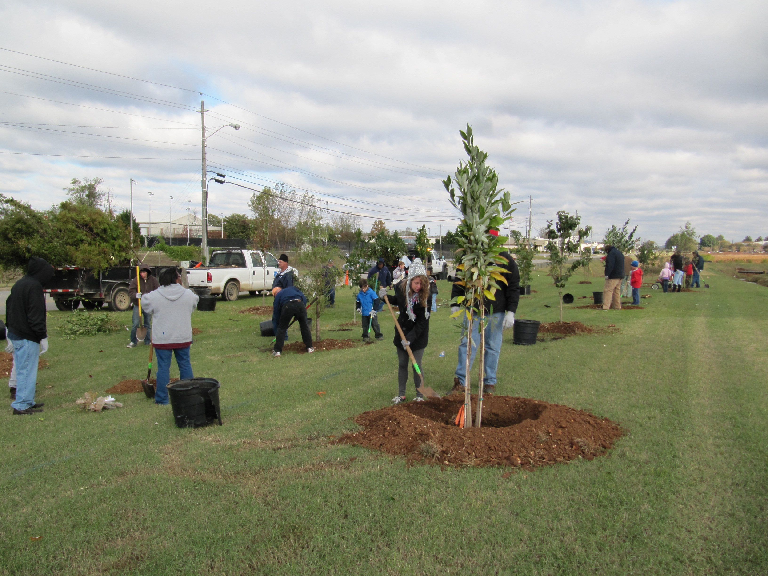 planting tree festival hunt john park