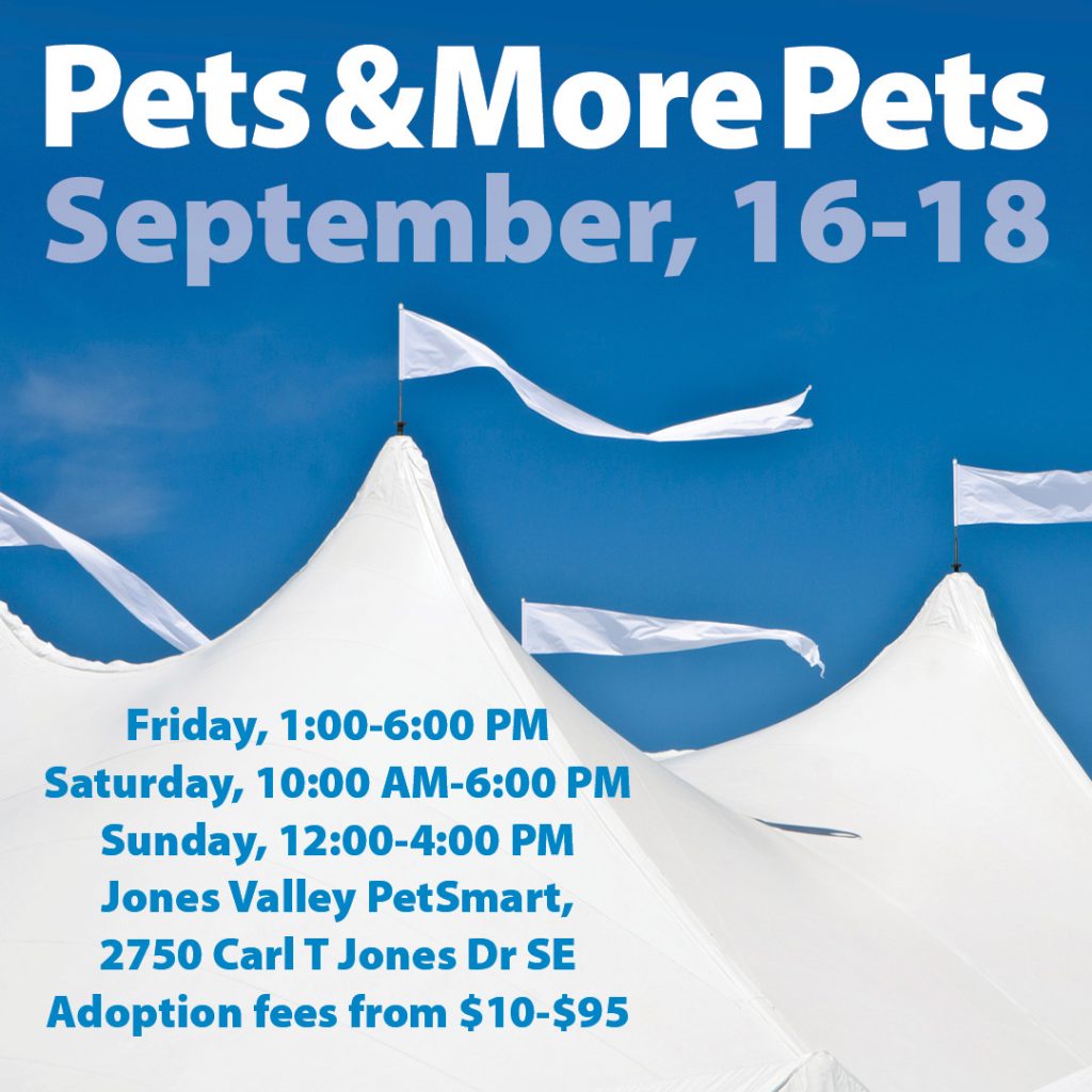 Petsmart huntsville sales al adoption