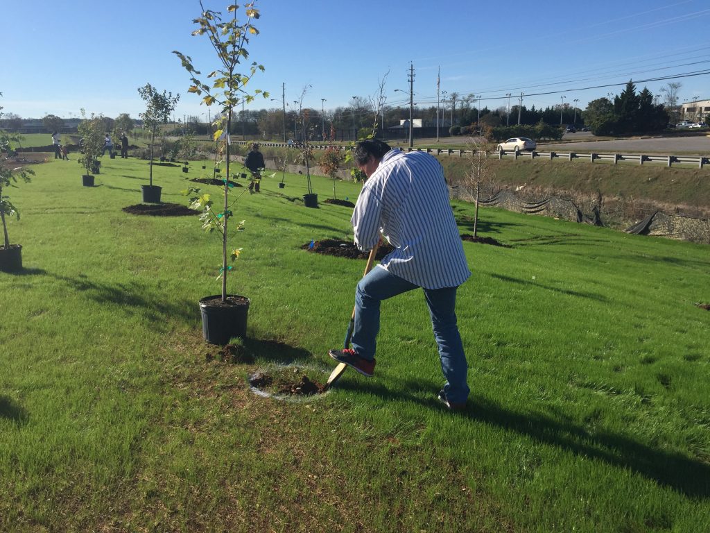 tree-planting-2