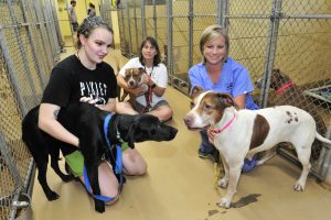 Laura Stewart, Kristy Kuzy, and Stefany McBride and show three dogs available for adoption at Huntsville Animal Services Thursday, Sept. 22, 2016 in Huntsville, Ala. (Eric Schultz / Rocket City Photo)