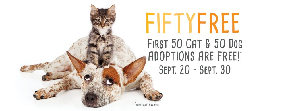 Fifty free dogs & fifty free cats to kick off fall 2017