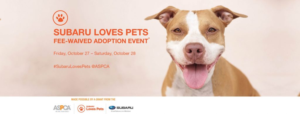 SubaruLovesPets_Oct 27-28