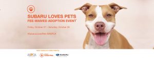 SubaruLovesPets_Oct 27-28