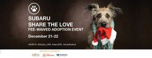 Subaru Share the Love Pet Adoption photo