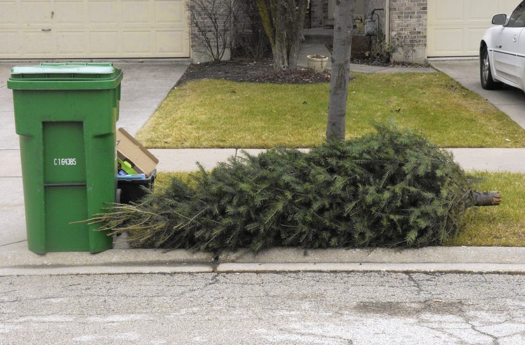 picture of Christmas trash curbside