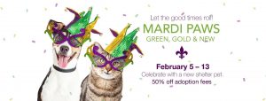 Mardi Paws Pet Adoption Special