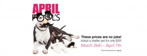 April Fools Pet Special