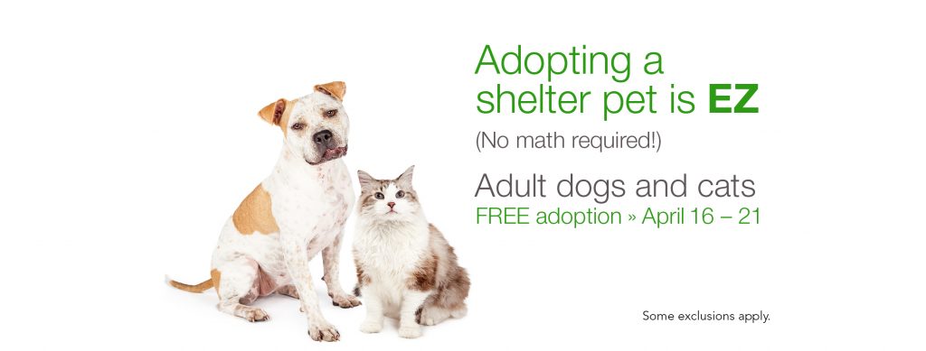 Free pet adoptions during tax week