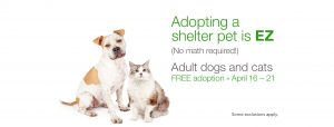 Free pet adoptions during tax week