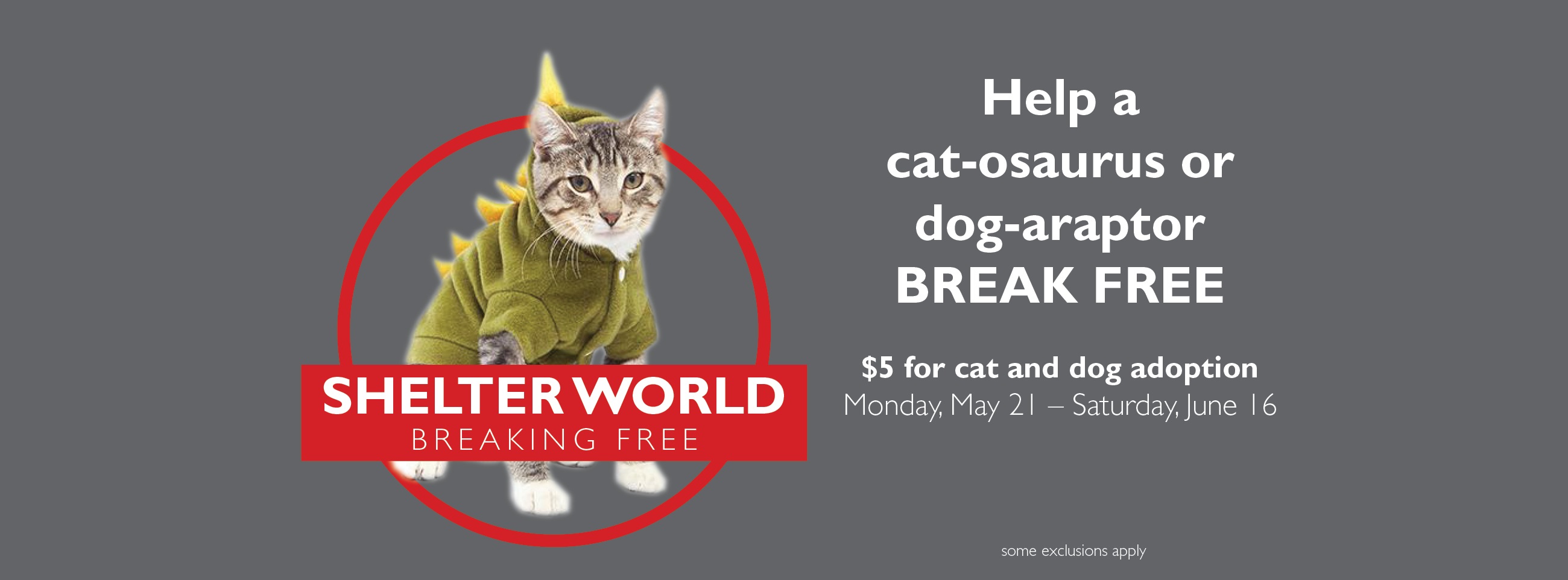 Shelter World Breaking Free Cat.osaurus 2018