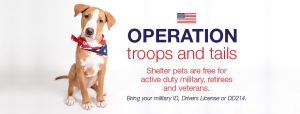 Operation Troops & Tails