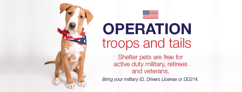 Operation Troops & Tails