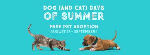 Pet adoption special poster