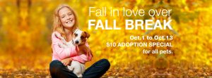 Fall in Love Pet Adoption
