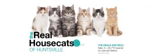 Real Housecats of Huntsville