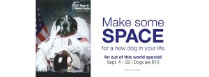Space Dog Adoption Special