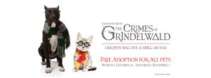 Fantastic Beast Pet Adoption Special