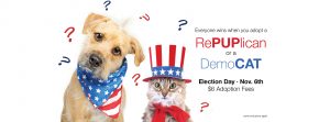 Election Day Adoption Special