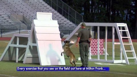 Image for Huntsville Police Department shows out at the 2018 National Patrol Dog Field Trials