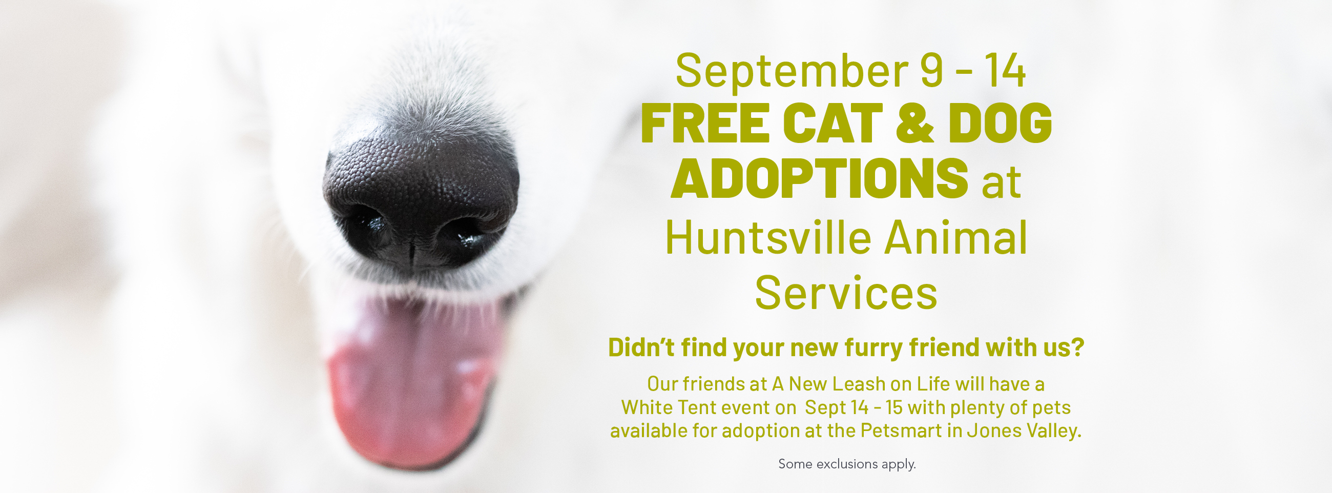 Fee-Waived Pet Adoptions At Huntsville Animal Services - City of Huntsville