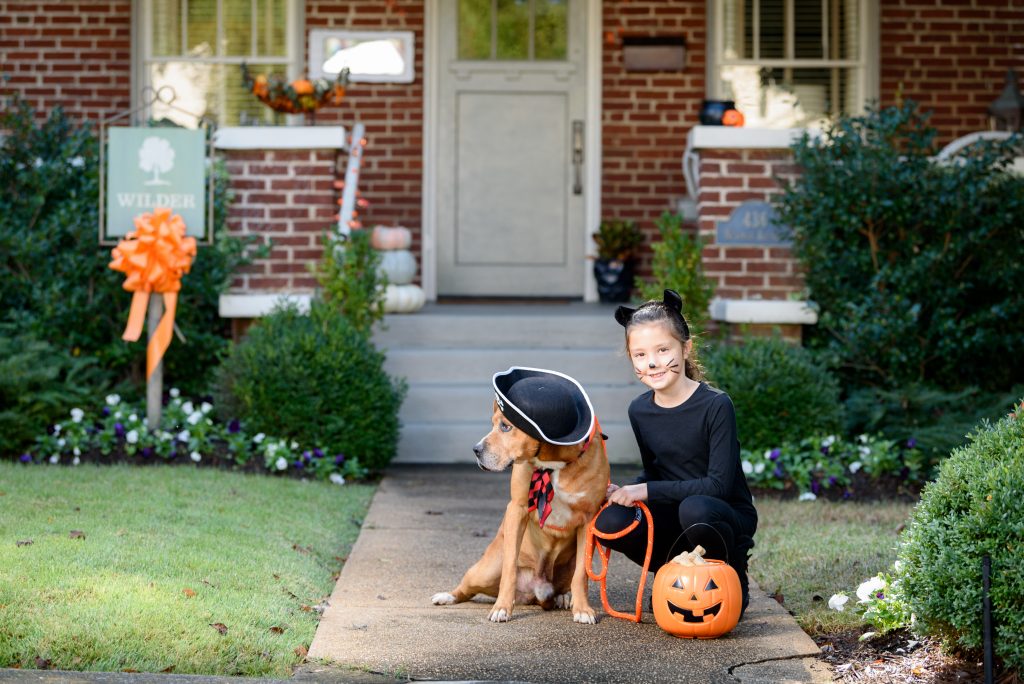 Pictured at “The Wilder House” on Newman Avenue – Adoptable Dog Hulu and Huntsville Animal Services Youth Volunteer Lyra