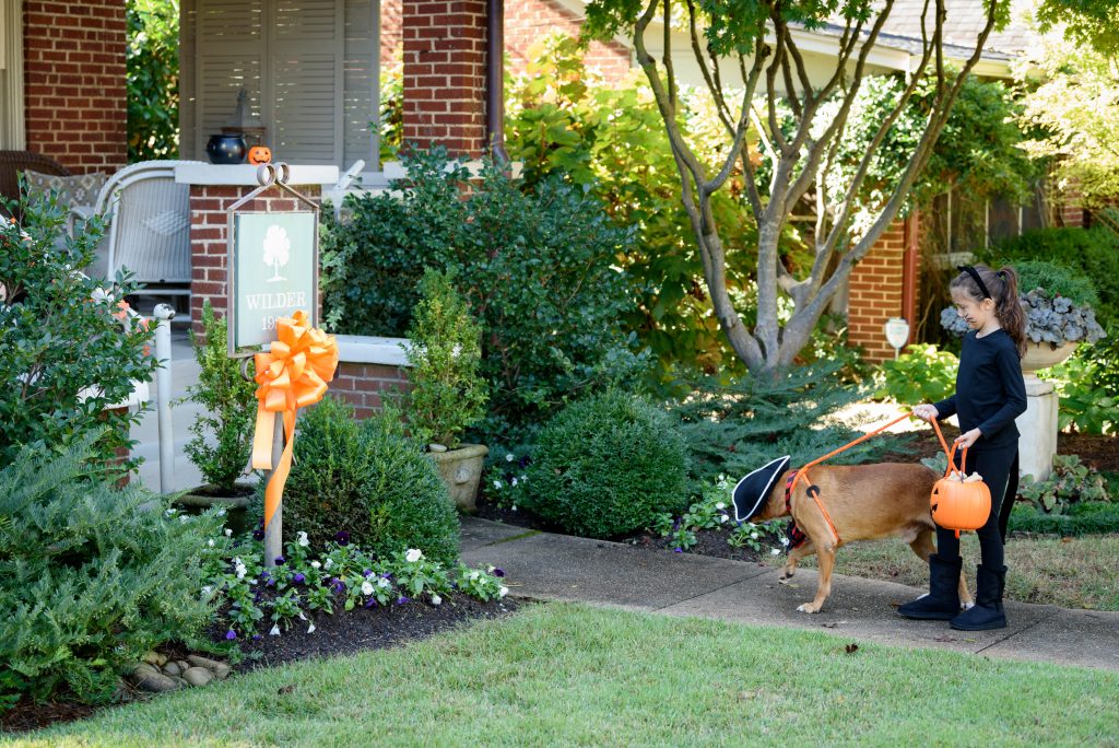 Pictured at “The Wilder House” on Newman Avenue – Adoptable Dog Hulu and Huntsville Animal Services Youth Volunteer Lyra