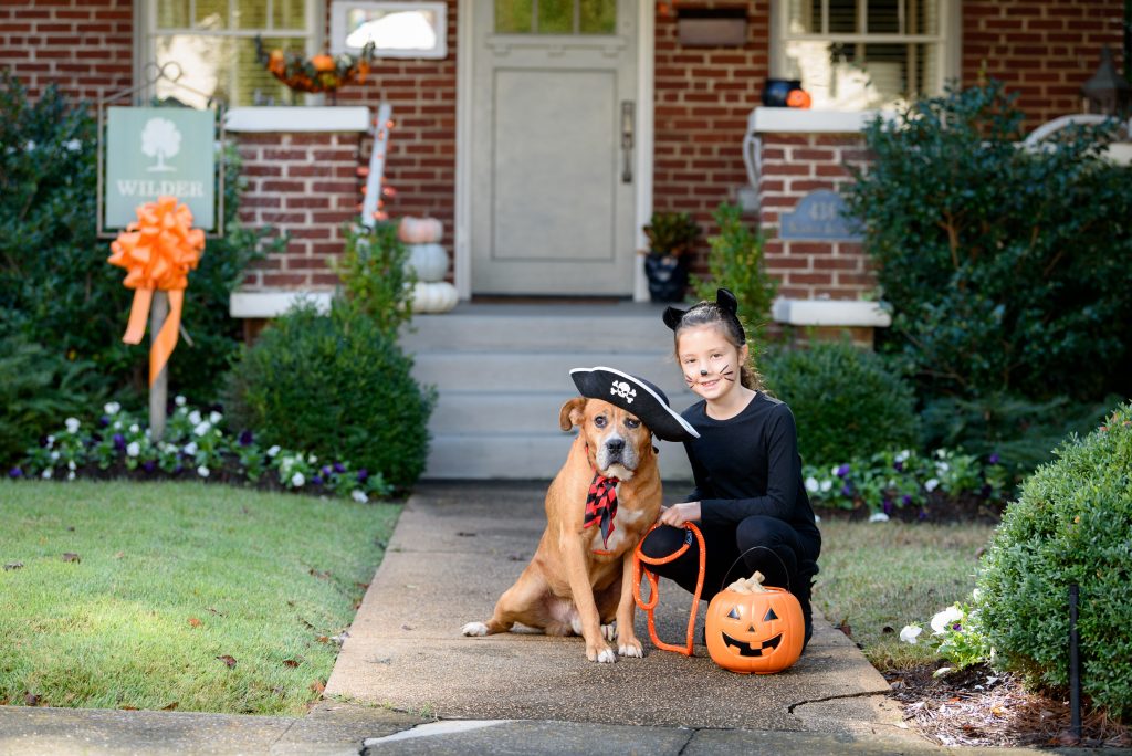 Pictured at “The Wilder House” on Newman Avenue – Adoptable Dog Hulu and Huntsville Animal Services Youth Volunteer Lyra