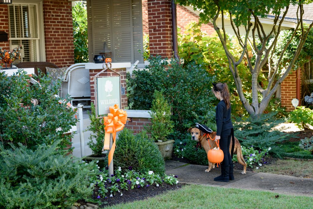 Pictured at “The Wilder House” on Newman Avenue – Adoptable Dog Hulu and Huntsville Animal Services Youth Volunteer Lyra