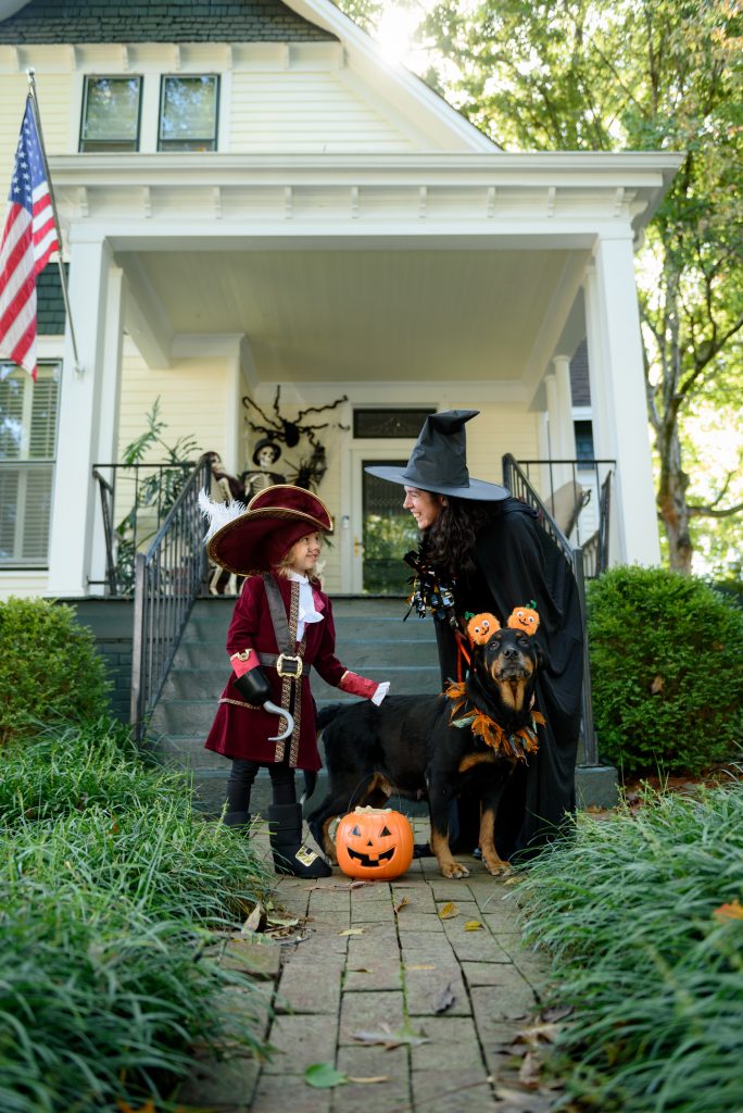 Pictured at the “Nolen House” on Clinton Avenue – Adoptable Dog Sylvia and Huntsville Animal Services Volunteers Lauren and Alcott