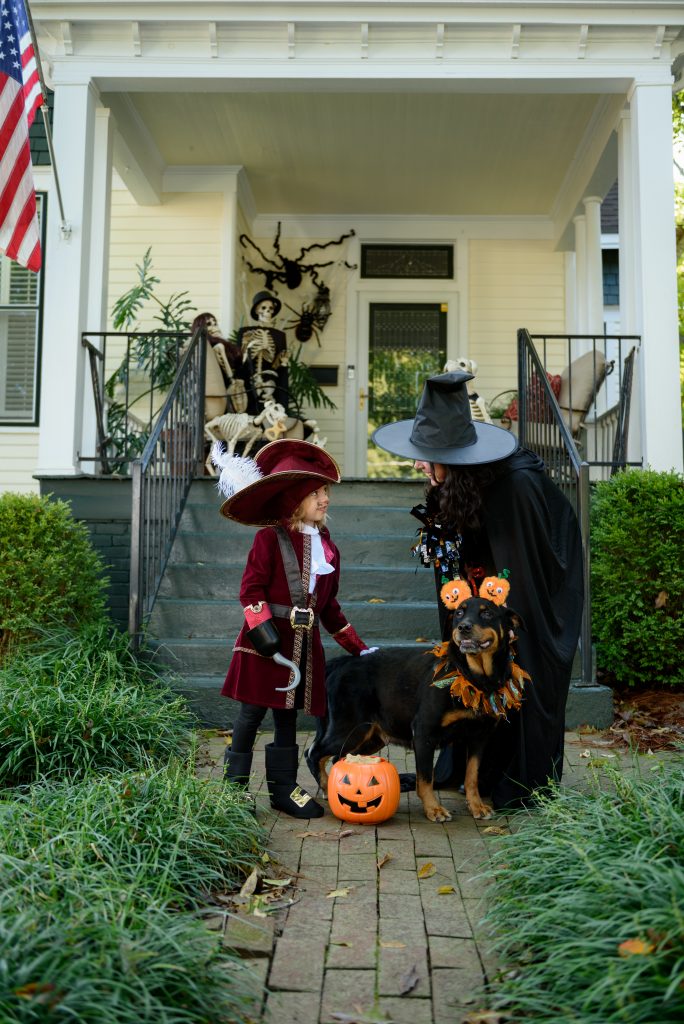 Pictured at the “Nolen House” on Clinton Avenue – Adoptable Dog Sylvia and Huntsville Animal Services Volunteers Lauren and Alcott