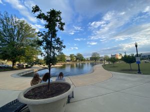 Photo of pond in Big Spring Park