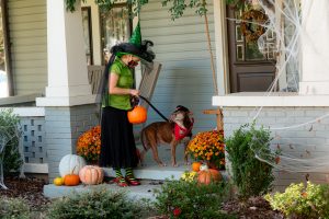 picture of a woman dressed as a witch with her dog on a leash in front of their historic home decorated for halloween. the dog is wearing a scarf and hat.