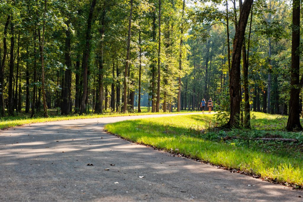 two people walking through the woods on a public greenway