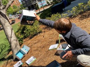 Man releases butterfly in downtown Huntsville