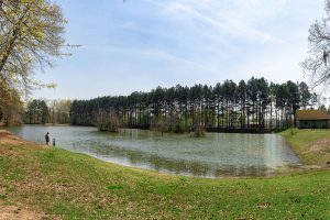 Photo of children playing by the edge of a pond at the Hays Nature Preserve