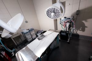 A view of a surgery suite at Huntsville Animal Services. There are overhead lights, an operating table covered with a sheet, and various machines and bins that would be used by surgical staff.