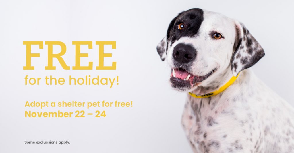 Huntsville Animal Services waiving adoption fees on most animals - City of Huntsville Huntsville Animal Services waiving adoption fees on most animals - City of Huntsville