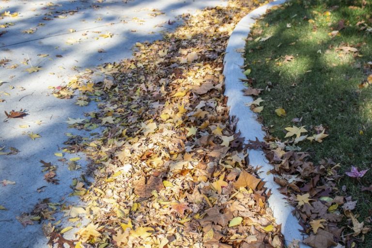 How to responsibly dispose of leaves, yard waste in Huntsville City
