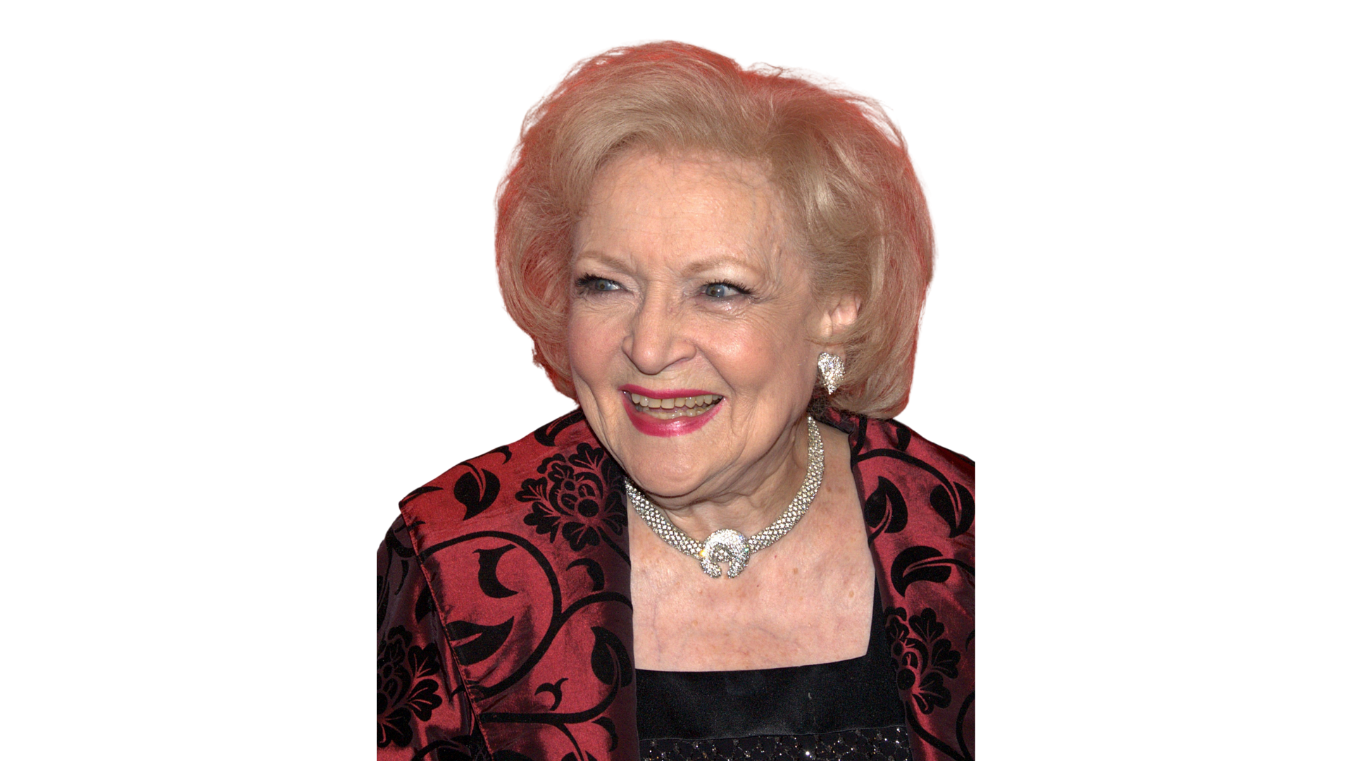 ‘Golden’ opportunity Huntsville Animal Services encourages donations