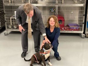 Mayor Tommy Battle bends over to scratch the head of Cosmo at the inaugural Ground Dog Day event as Huntsville Animal Services Director Dr. Karen Sheppard, crouching, holds the leash.