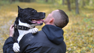 Waiving Adoption Fees at the ASPCA's Adoption Center