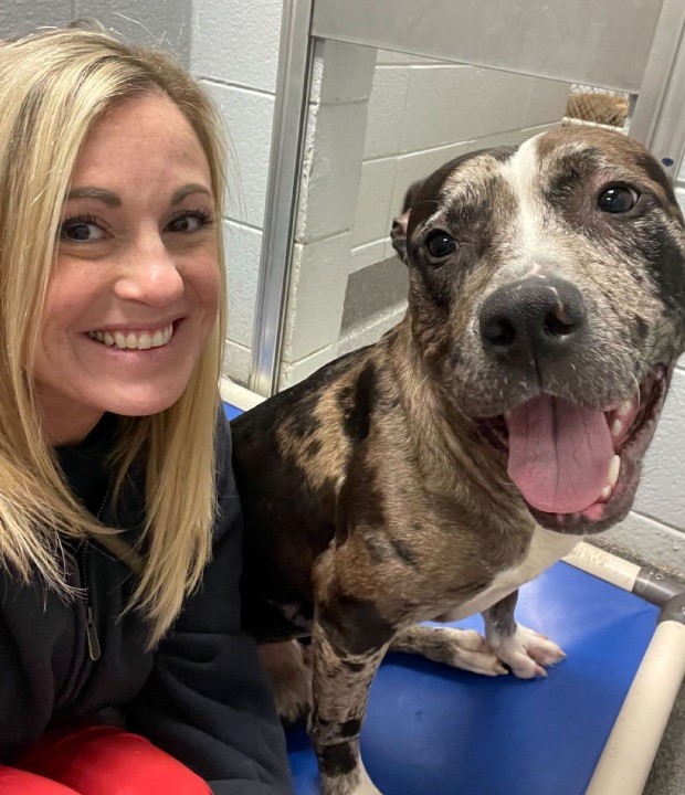 ‘Take a picture, it’ll last longer!’ Huntsville Animal Services kicks