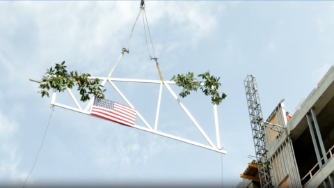 Image for City Hall Topping Off Ceremony