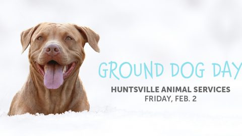 Image for Ground Dog Day 2024