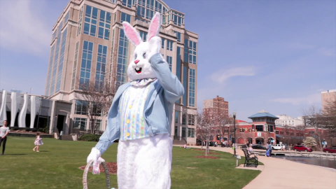 Image for HSV Eggstravaganza Promo 2024
