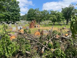 pile of tree limb debris in cemetery with large green trees and blue sky