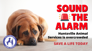 A graphic featuring a sad looking dog and the text "Sound The Alarm" with a siren.